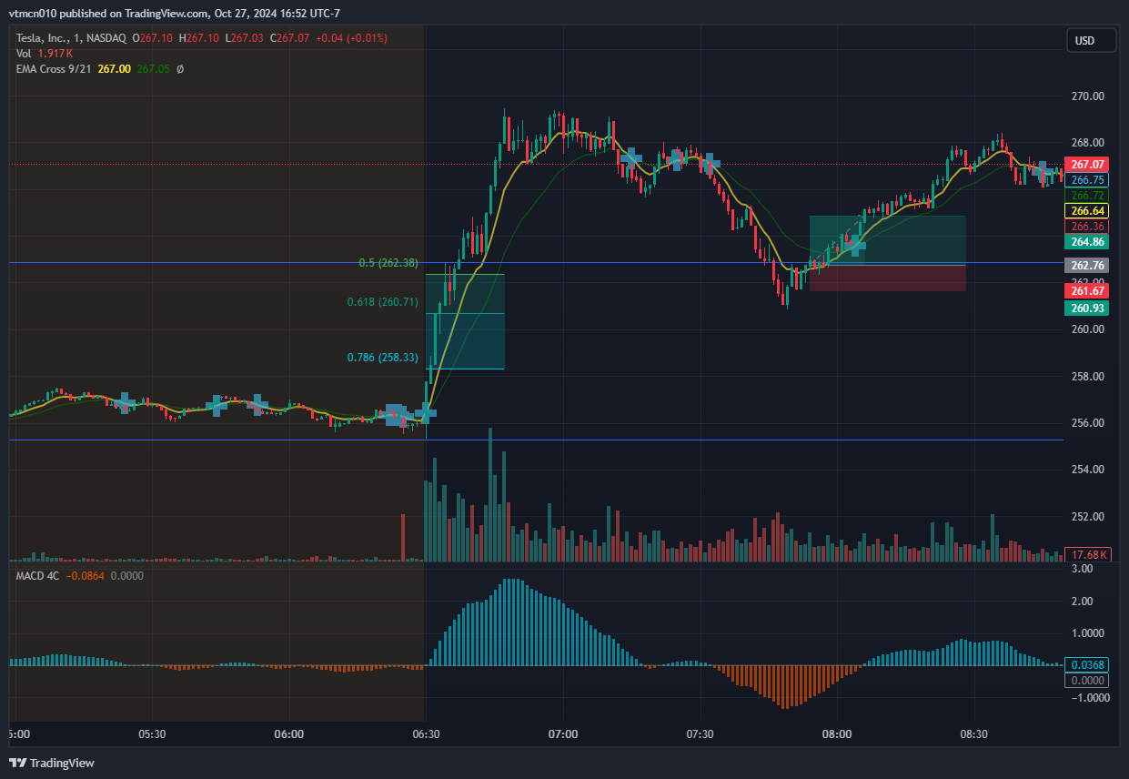 241025_Tsla_5m.png